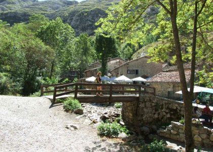 Bulnes Cabrales