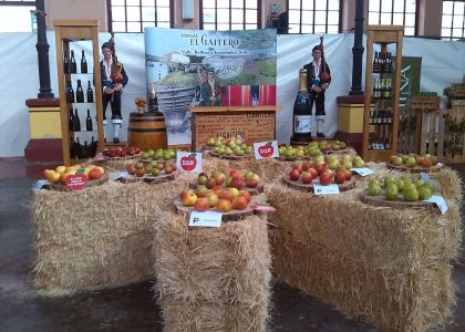 Festival de la Manzana