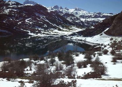 Lago Enol Picos de Europa