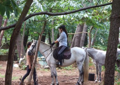 Paseos a caballo